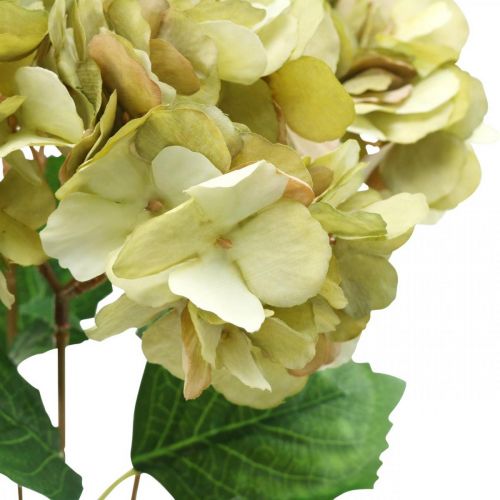 Floristik24 Hortenzijos puokštė dirbtinė žalia, ruda 5 žiedai 48cm