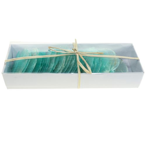 Floristik24 Capiz kriauklės, capiz diskai, perlamutriniai diskai turkis 6,5–9,5 cm 650 g