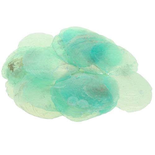 Floristik24 Capiz kriauklės, capiz diskai, perlamutriniai diskai turkis 6,5–9,5 cm 650 g