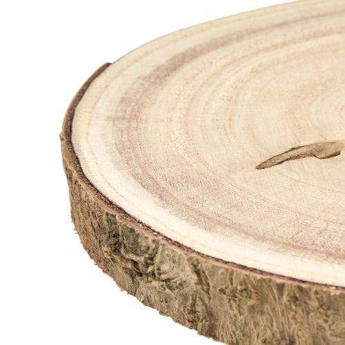 daiktų Medžio griežinėlis mėlynojo varpelio medis natūralus Ø20-25cm 1 vnt