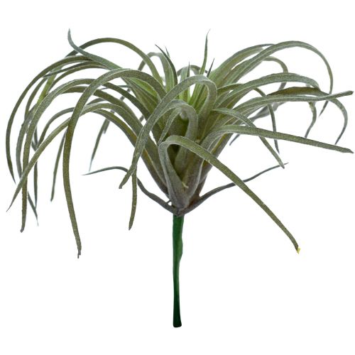 daiktų Tillandsia Succulent Dirbtiniai žalieji augalai 13cm
