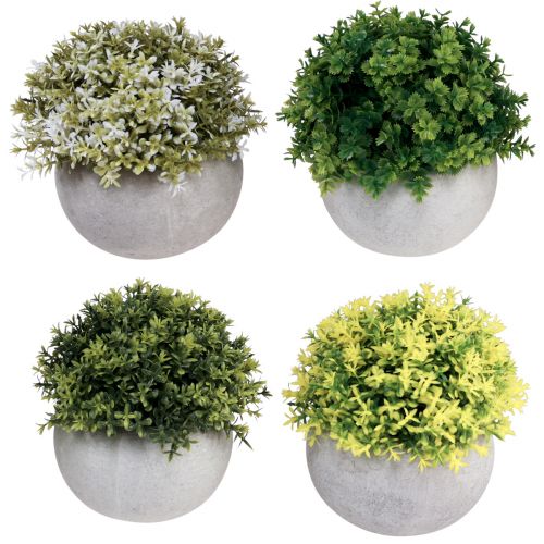 Floristik24 Dirbtiniai augalai Dirbtinis buksmedis 12,5cm×Ø12cm 4vnt