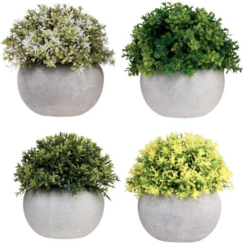daiktų Dirbtiniai augalai Dirbtinis buksmedis 12,5cmר12cm 4vnt