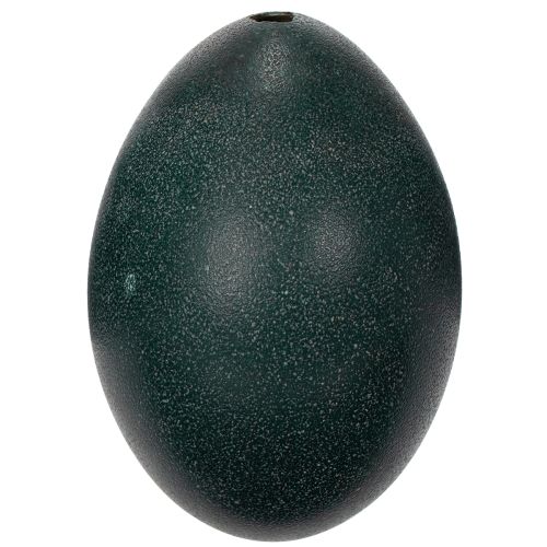 daiktų Emuei dekoracijos šventiniam namų dekorui ir stilingi akcentai Velykoms