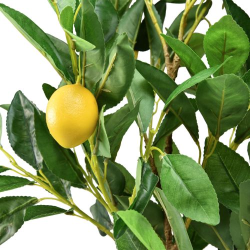 Floristik24 Dirbtiniai augalai Citrinmedis Dirbtinis augalas vazone 90cm