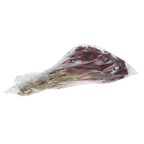 daiktų Achillea 1kg raudono vyno