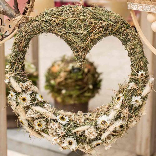 Floristik24 Acroclinium White, sausi augalai, šiaudinės gėlės, sausa floristika L20-40cm 25g