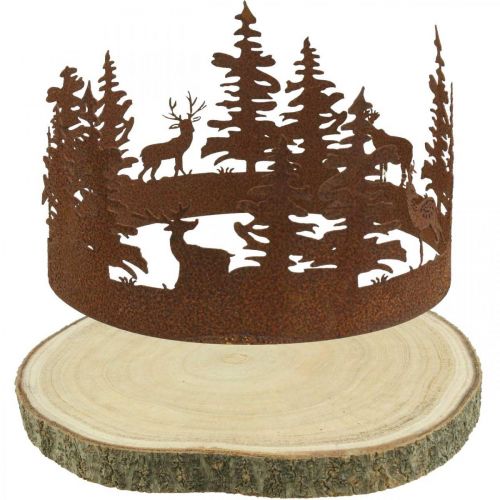Floristik24 Deer Deco Forest Patina Deco medžio žievė Natūrali Ø25-27cm