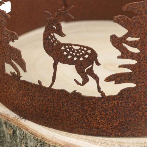 Floristik24 Deer Deco Forest Patina Deco medžio žievė Natūrali Ø25-27cm