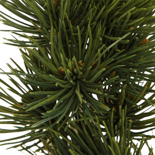 Floristik24 Advento vainikas dirbtinis pušies vainikas eglės žalios spalvos dekoracija Ø30cm