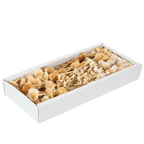Afrikos rinkinys, balintas, 60 vnt. | Floristik24.lt