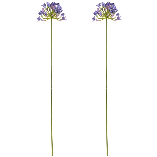 daiktų Agapanthus Afrikos lelija Dirbtinės gėlės Violetinė L75cm 2vnt