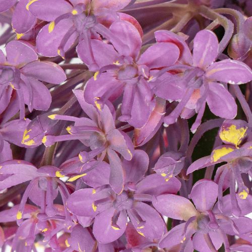 daiktų Dirbtinė česnakinė gėlė, dekoratyvinis svogūnas, elegantiška kambario puošmena, 90 cm