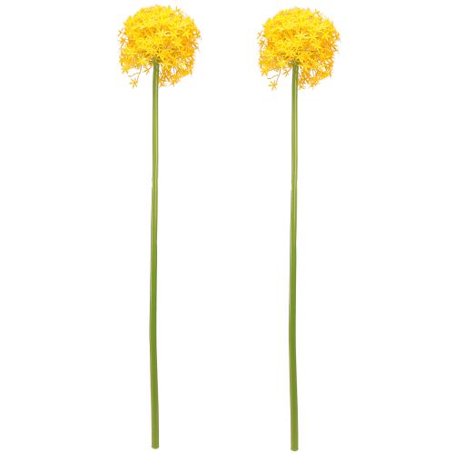daiktų Allium geltonžiedis dirbtinis svogūnas 80cm Ø14.5cm 2vnt.