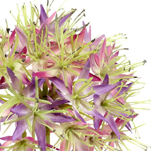 daiktų Allium šviesiai violetinė L76cm