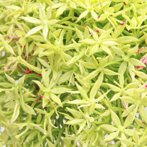 daiktų Allium green gėlė dirbtinis dekoratyvinis svogūnas Ø18cm 90cm