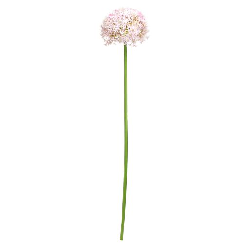 daiktų Allium su rausvais žiedais dirbtinis svogūnas Ø18cm L90cm