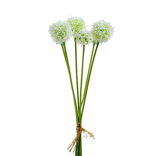 Floristik24 Allium 35cm baltas 6vnt