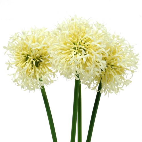 Floristik24 Dekoratyvinis svogūnas Allium dirbtinis baltas 51cm 4vnt