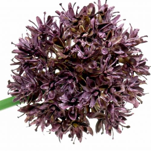 daiktų Dekoratyvinis svogūnas Allium dirbtinis violetinis Ø7cm H58cm 4vnt