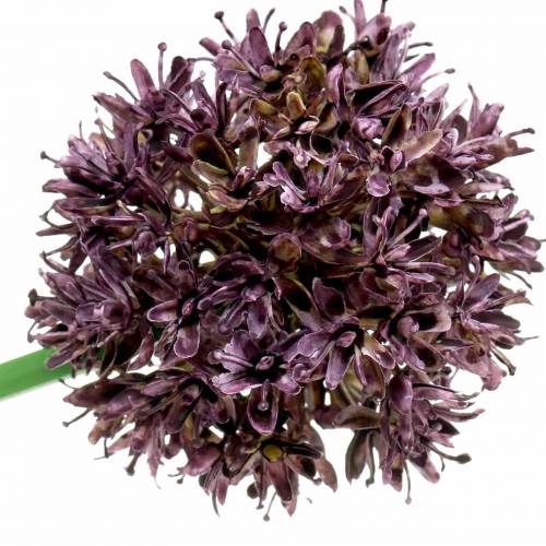Floristik24 Dekoratyvinis svogūnas Allium dirbtinis violetinis Ø7cm H58cm 4vnt