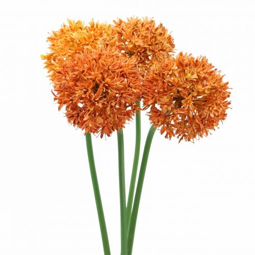 Floristik24 Dekoratyvinis svogūnas Allium dirbtinis apelsinas Ø7cm H58cm 4vnt