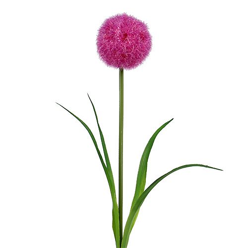 Allium 68cm rožinė-violetinė