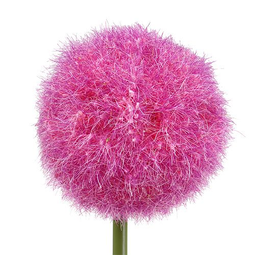 Floristik24 Allium 68cm rožinė-violetinė