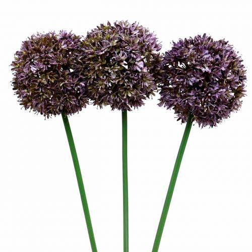 Floristik24 Dekoratyvinis svogūnas Allium dirbtinis alyvinis 70cm 3vnt