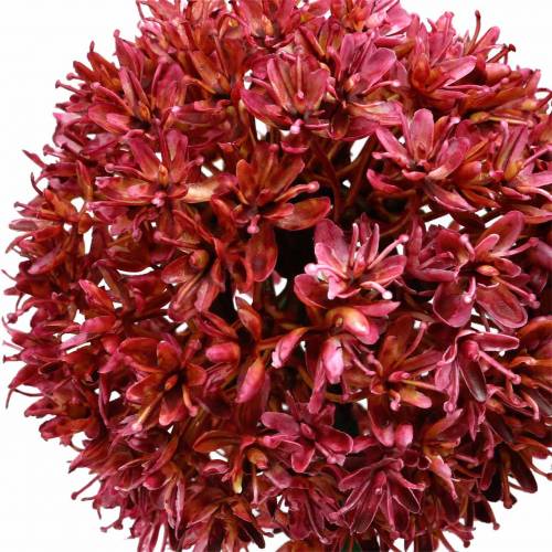 Floristik24 Dekoratyvinis svogūnas Allium dirbtinis violetinis Ø9cm H70cm 3vnt
