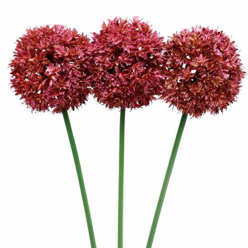 Floristik24 Dekoratyvinis svogūnas Allium dirbtinis violetinis Ø9cm H70cm 3vnt