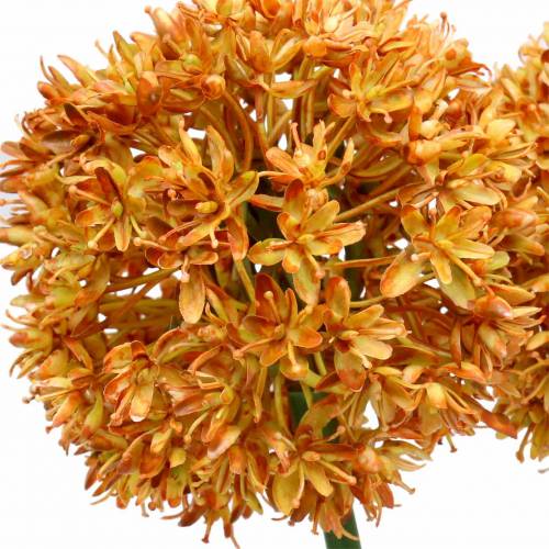 Floristik24 Dekoratyvinis svogūnas Allium dirbtinis apelsinas 70cm 3vnt