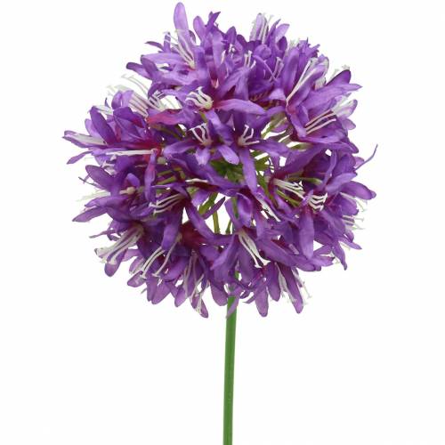 Dekoratyvinis svogūnas Allium dirbtinis violetinis Ø12cm H62cm