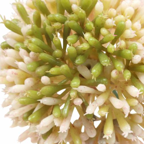 Dekoratyvinis svogūnas Allium dirbtinis rožinis / žalias Ø8cm 58cm