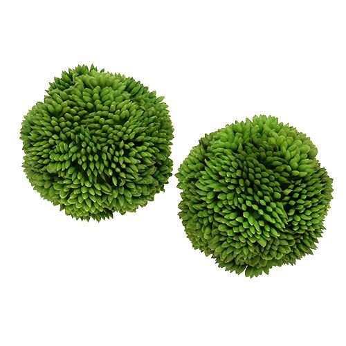 Floristik24 Allium kamuolys 5cm žalias 4vnt