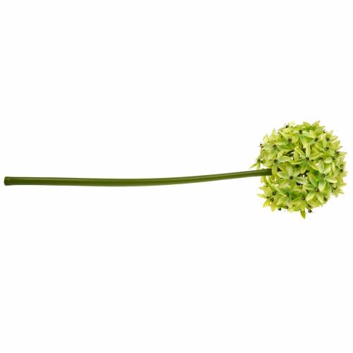 daiktų Dekoratyvinis svogūnas Allium, šilkinė gėlė, dirbtinis rutulinis poro žalias Ø20cm L72cm