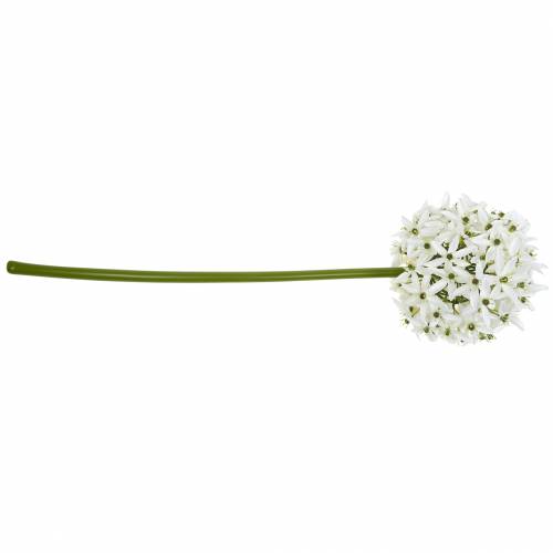 daiktų Dekoratyvinė gėlė Allium, dirbtinis rutulinis poras, dekoratyvinis svogūnas baltas Ø20cm L72cm