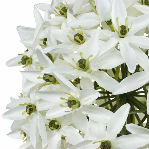 daiktų Dekoratyvinė gėlė Allium, dirbtinis rutulinis poras, dekoratyvinis svogūnas baltas Ø20cm L72cm