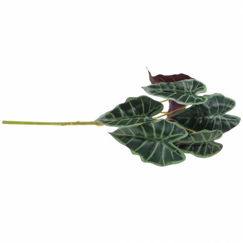 daiktų Alokazija arrow lapų žalia, violetinė dirbtinis augalas H48cm