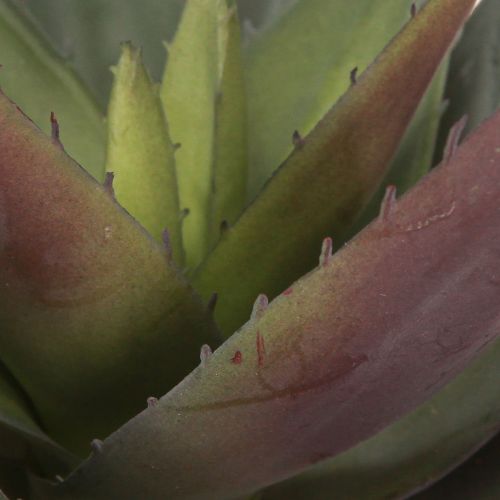 daiktų Aloe Vera Dirbtinis augalas Purpuriniai Dirbtiniai Sukulentai Ø18cm