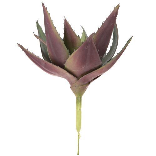 daiktų Aloe Vera Dirbtinis augalas Purpuriniai Dirbtiniai Sukulentai Ø18cm