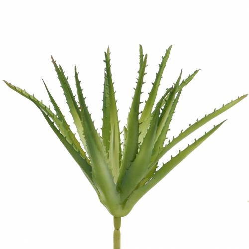 Floristik24 Aloe Vera dirbtinis žalias 26cm