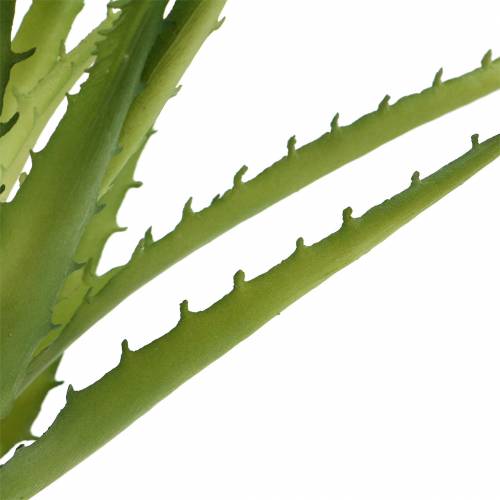 daiktų Aloe Vera dirbtinis žalias 26cm