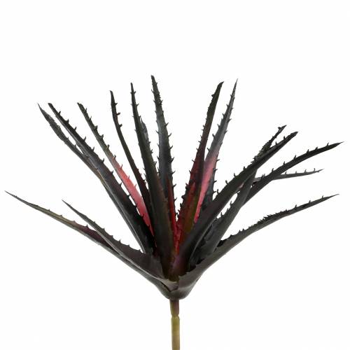 Aloe Vera Dirbtinė violetinė 26cm