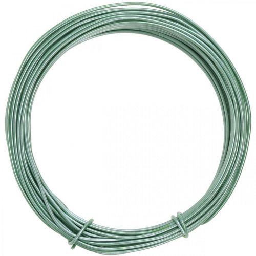 Floristik24 Aliuminio viela Ø2mm Green Matt 100g 12m