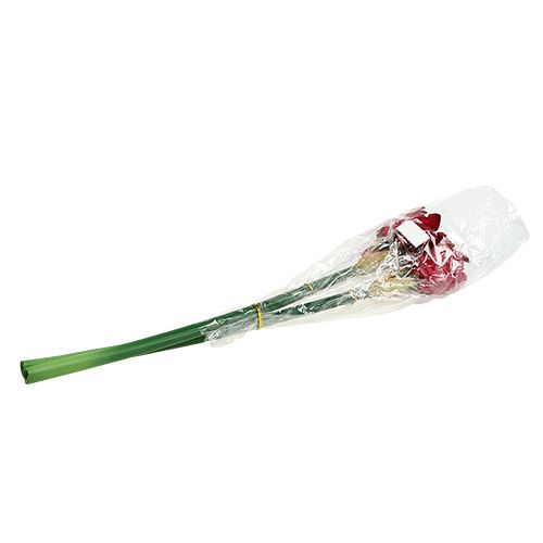 Floristik24 Amarilis tamsiai raudonas L 73cm 2vnt