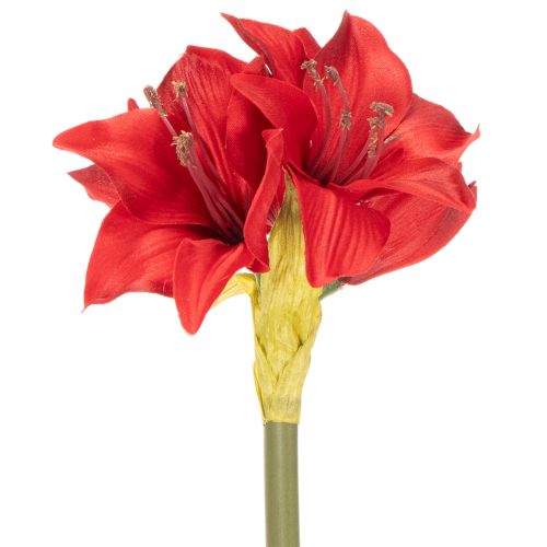 Dirbtinė raudona amarilės gėlė su koteliu, kalėdinė gėlių dekoracija, 50 cm | Floristik24.lt