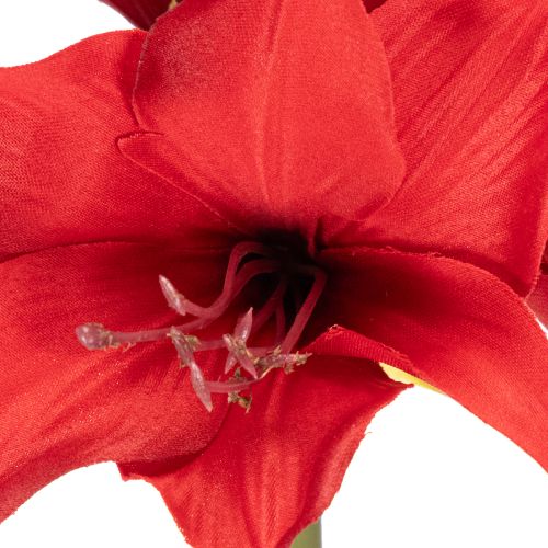 Dirbtinė raudona amarilės gėlė su koteliu, kalėdinė gėlių dekoracija, 50 cm | Floristik24.lt