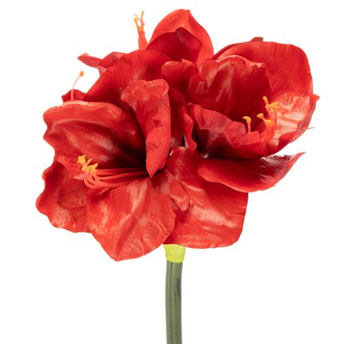 Dirbtinė amarilės gėlė, raudona, ilgakotė, vazai ir kompozicijai, 77 cm pirkti | Floristik24.lt