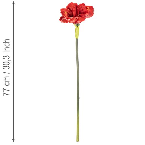 Dirbtinė amarilės gėlė, raudona, ilgakotė, vazai ir kompozicijai, 77 cm | Floristik24.lt